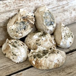 Marengs - 6 stk megastore - Lakrids