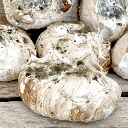 Marengs - 6 stk megastore - Lakrids