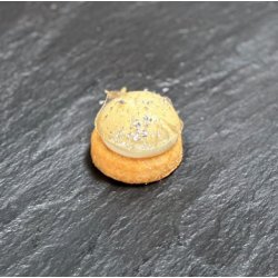 Tapas visitkager, h�ndlavet 14 stk. til NYT�R